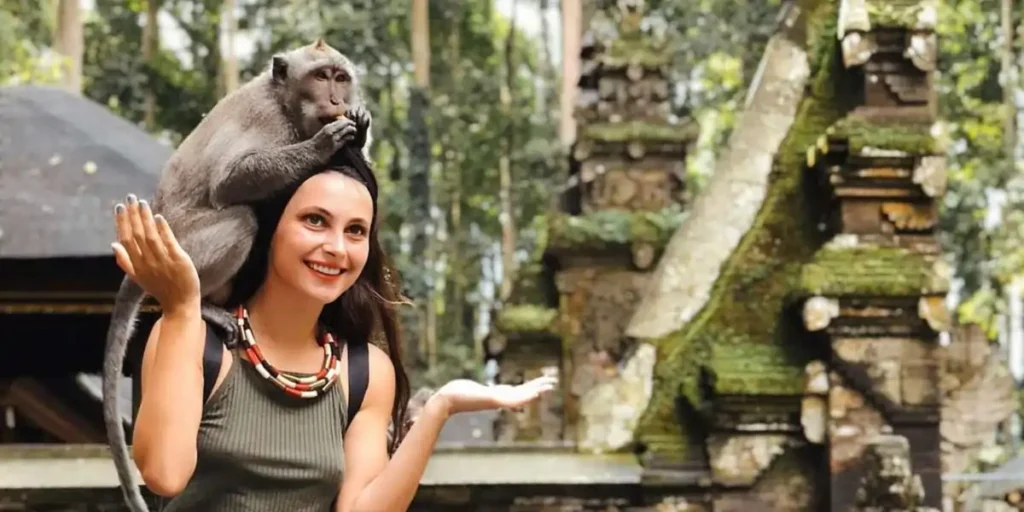 Hiburan Terbaik di Bali. Terletak di Ubud, Sacred Monkey Forest Sanctuary adalah tempat perlindungan bagi monyet Bali. Selain menjadi tempat wisata yang menyenangkan, area ini juga dipenuhi dengan pohon-pohon besar dan suasana yang tenang.