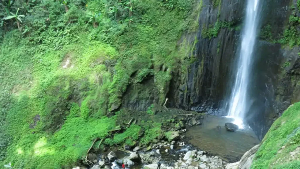 Air Terjun Sirawe menawarkan pemandangan air terjun dengan udara segar dan suasana asri.