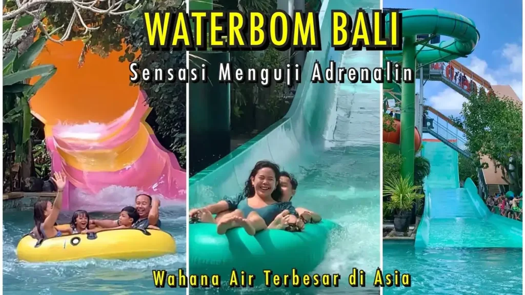 Hiburan Terbaik di Bali. Bali Safari and Marine Park menawarkan pengalaman safari yang berbeda dengan melihat berbagai spesies hewan dari seluruh dunia. Di sini, kamu bisa menyaksikan gajah, singa, harimau, hingga berbagai jenis burung di habitat aslinya.