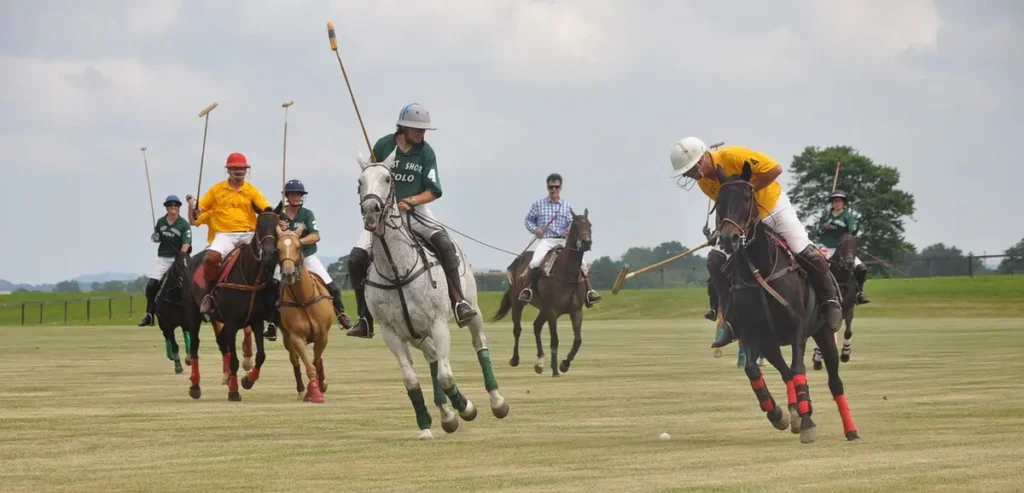 Polo adalah olahraga yang dimainkan dengan menunggang kuda, di mana pemain menggunakan tongkat panjang untuk memukul bola ke gawang lawan. Selain membutuhkan keahlian tinggi, olahraga ini juga memerlukan kuda yang mahal.